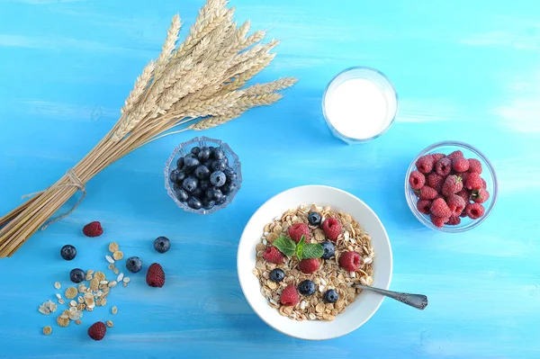 Oat flakes with raspberries and blueberries. The dish is decorated with a mint leaf. Next cups with blueberries and raspberries, wheat ears and a glass of milk. Blue wood background. View from above.