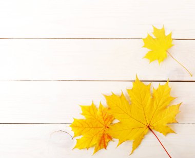 Sarı akçaağaç yaprakları ile sonbahar arka plan