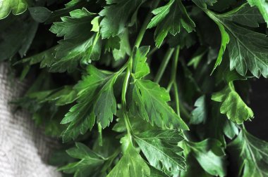 Çerçevede, bir doku peçete üzerinde gür yeşil maydanoz. Yukarıdan görüntüleyin. Close. Makro fotoğrafçılık.