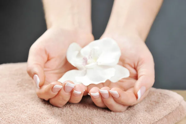 French Manicure Frame Two Women Hands Palms White Orchid Flower — Stock Photo, Image