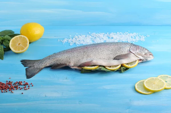 Atlantik büyük somon. Kafası olan somon balığı, harcanmış, pişmeye hazır. Balık yanında limon ve bireysel dilimler vardır. Tuz ve biber somonların etrafına serpilir. Mavi arka plan. Close.