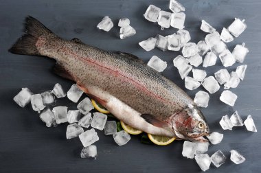 Atlantik büyük somon. Kafası olan somon balığı, harcanmış. Balık dilimlerilimonun göbeğinde. Somon ların etrafında doğal buz küpleri serpildi. Koyu ahşap arka plan. Yukarıdan görüntüleyin. Close.