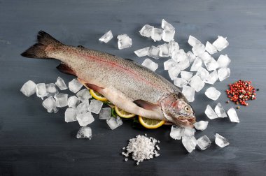 Somon Atlantik çiğ, harcanmış. Balığın karnı limon dilimleri ile doldurulr. Doğal buz, baharat, deniz tuzu somon küpleri etrafında. Koyu ahşap arka plan. Yukarıdan görüntüle. 