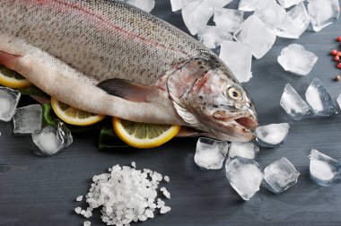 Somon Atlantik çiğ, harcanmış. Balığın karnı limon dilimleri ile doldurulr. Buz küpleri, baharatlar, deniz tuzu etrafında. Koyu ahşap arka plan. Yukarıdan görüntüleyin. Close.