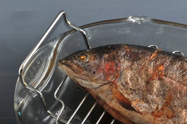 Izgarada pişirilmiş kafası olan Atlantik somonu. Balık ızgara üzerinde bir cam çanak bulunmaktadır. Balık çerçevesinde. Koyu ahşap arka plan. Yukarıdan görüntüleyin. Close. Makro fotoğrafçılık.