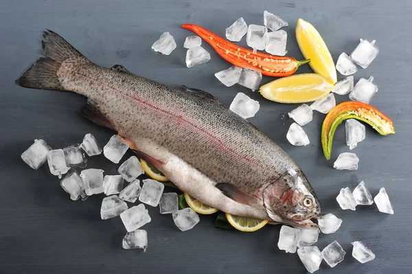 Atlantik somonu. Kafası olan somon balığı. Balık dilimlerilimonun göbeğinde. Somonların etrafında dağınık buz küpleri vardır. Bir dilim limonun yanında yarım biber. Karanlık arka plan. Yukarıdan görüntüle.