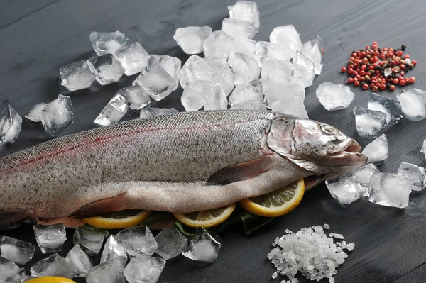 Somon Atlantik çiğ, harcanmış. Balığın karnı limon dilimleri ile doldurulr. Doğal buz, baharat, deniz tuzu somon küpleri etrafında. Koyu ahşap arka plan. Yukarıdan görüntüle. 