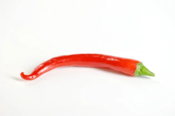 Red Hot Chili Pepper White Background Close — Stock Photo, Image