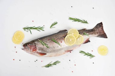 Beyaz bir yüzeyde taze alabalık. Biberiye otlar, baharatlar, tuz, limon dilimleri kompozisyon tamamlar. Yukarıdan görüntüleyin. Close.