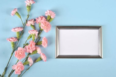 Pembe karanfil çiçekler ve mavi bir arka plan üzerinde bir fotoğraf için yatay bir çerçeve. Tatil için tebrikler kavramı. Yukarıdan görüntüle.