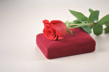 Kırmızı gül ve kadife kutu mücevherli. Yıldönümü için mükemmel bir hediye. Metin yerleştirmek için boş alan. Açık arka plan. Close.