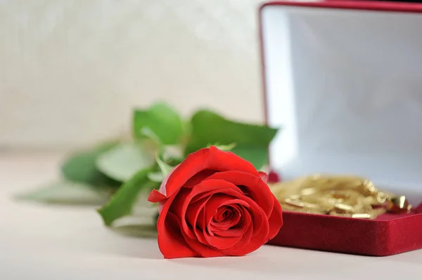 Rode Roos Fluweel Gift Box Met Sieraden Het Perfecte Cadeau — Stockfoto