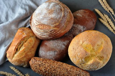 Ekmek gri bir arka plan üzerinde çeşitli. İtalyan beyaz ciabatta ekmek, çavdar ekmeği, mısır ekmeği, buğday ve tahıl. Buğdayın kulakları çerçevesinde. Yukarıdan görüntüle.