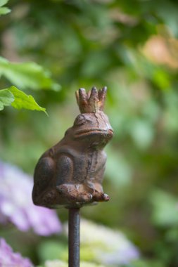 Kurbağa kral yeşilde oturuyor.