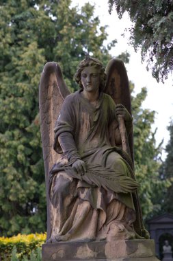 Bir palmiye yaprağıyla yıpranmış melek