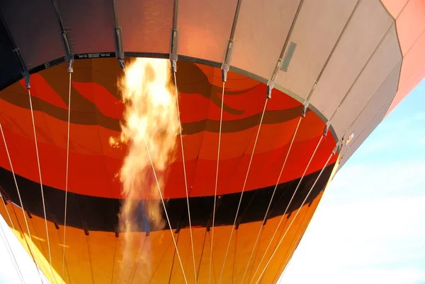 Con Globo Aerostático Sobre Parque Safari — Foto de Stock