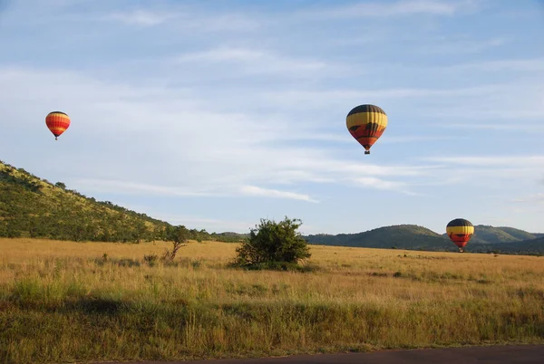 Balonem Gorące Powietrze Nad Parkiem Safari — Zdjęcie stockowe