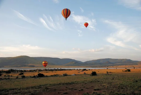 Mit Dem Heißluftballon Über Einen Safaripark Stockbild