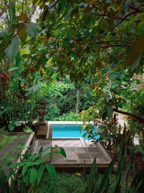 Bali ormanda romantik yüzme havuzu
