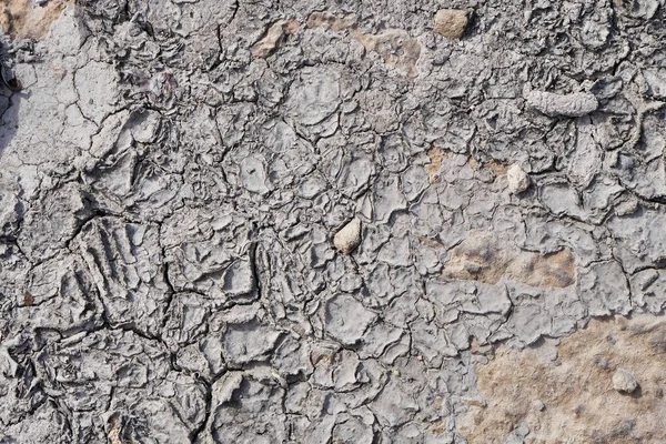 Dry ground soil texture grey — Stock Photo, Image