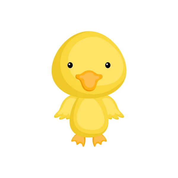 Cute Funny Baby Duck Isolated White Background Adorable Animal Character — Stock Vector