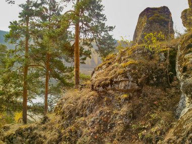 Taşların arasında yüksek kaya ve çam ağaçları