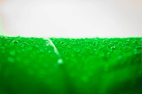 Yeşil-beyaz şemsiye yüzeyinde güzel yağmur damlası veya su damlaları soyut doku arka plan, doğanın Parlak renkli sanatsal görüntü