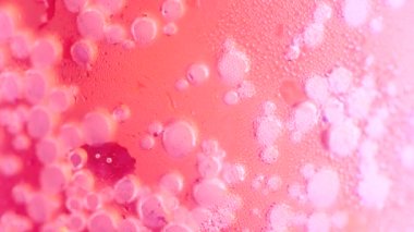 Buz küpleri arka plan ile Kola. Buzlu kola ve bardakta kabarcıklar. Soda yakın çekim. 