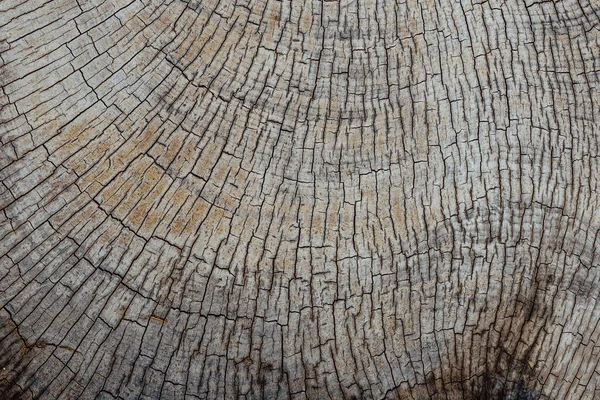 Fondo Madera Natural Superficie Con Textura Madera Patrón Madera Vieja — Foto de Stock