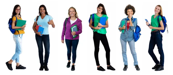 混合グループの6かなり笑って女性学生隔離上の白い背景のためにカットアウト — ストック写真