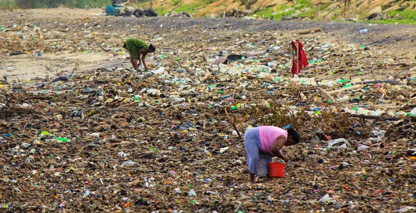 women collecting from garbage dump in srilankan beach near colombo