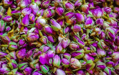 Kurutulmuş gül goncası arka plan doku portre. Menekşe gül goncası makro yakın çekim yığını.