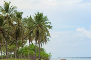 Gün batımında güzel Srilankan Pasikudah plajı.