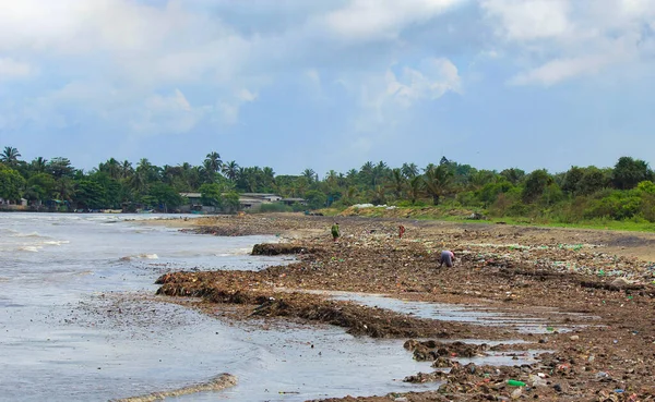 Poluarea Mării Gunoiul Aruncat Marea Sri Lanka Lângă Colombo Femeile — Fotografie, imagine de stoc