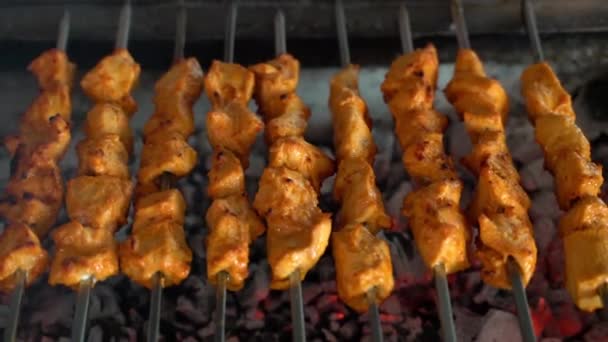 Tikka Shish Kofta Kebabs Barbacoa Carbón — Vídeos de Stock