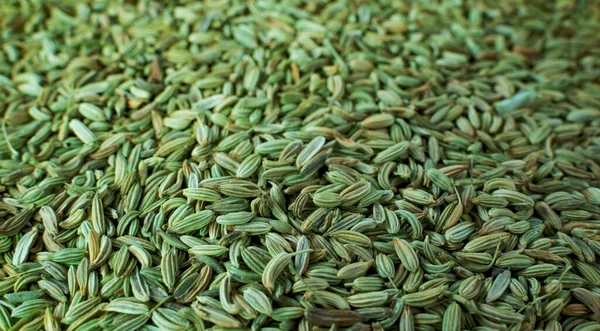 Background image of fresh fennel seed after cultivation cultivation