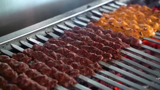 Tikka Shish Kofta Kebabs Barbacoa Carbón — Vídeos de Stock