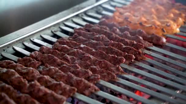 Тикка Шашлык Кебаб Барбекю Древесного Угля — стоковое видео