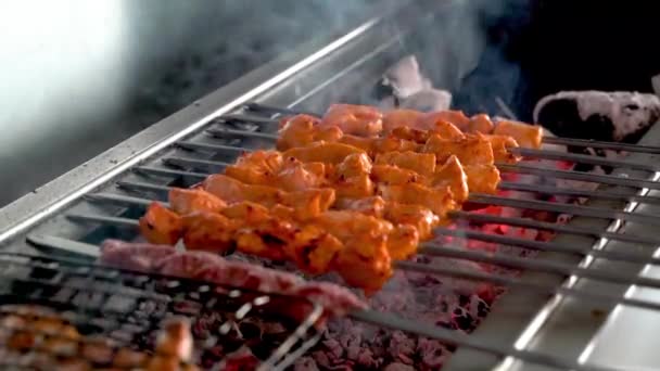 Tikka Shish Kofta Kebab Pada Barbekyu Arang — Stok Video