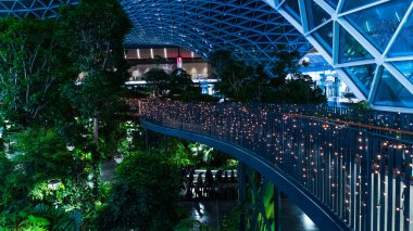 Doha, Katar, 17 Haziran 2025: Orchard - Biyonik Hamad Katar Havalimanı 'nın ortasındaki Tropikal Bahçe