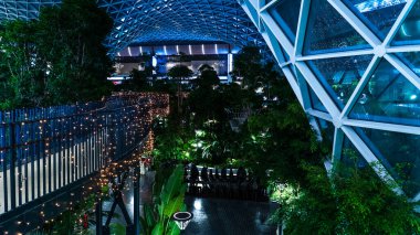 Doha, Katar, 17 Haziran 2025: Orchard - Biyonik Hamad Katar Havalimanı 'nın ortasındaki Tropikal Bahçe