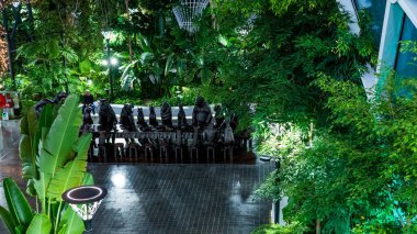 Doha, Katar, 17 Haziran 2025: Orchard - Biyonik Hamad Katar Havalimanı 'nın ortasındaki Tropikal Bahçe