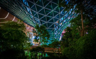 Doha, Katar, 17 Haziran 2025: Orchard - Biyonik Hamad Katar Havalimanı 'nın ortasındaki Tropikal Bahçe