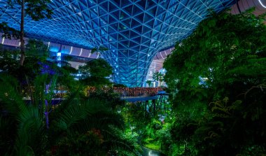 Doha, Katar, 17 Haziran 2025: Orchard - Biyonik Hamad Katar Havalimanı 'nın ortasındaki Tropikal Bahçe