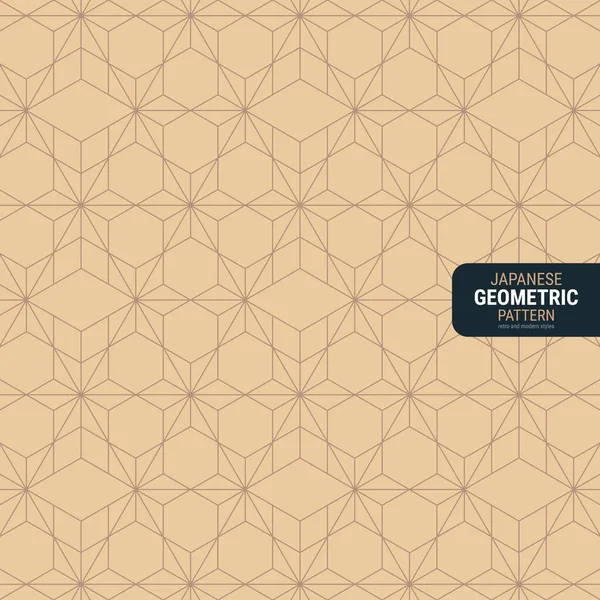 Traditional Japanese Geometric Pattern Simple Vector Illustration Harmonious Blend Retro — Stock Vector