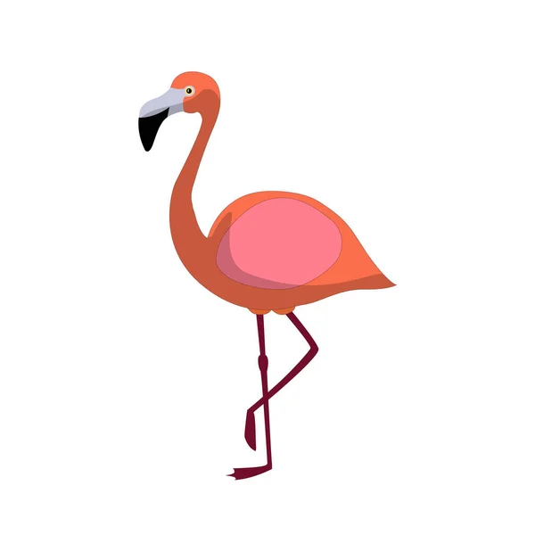 Pink Flamingo Isolated White Background Color Illustration — Stock Vector