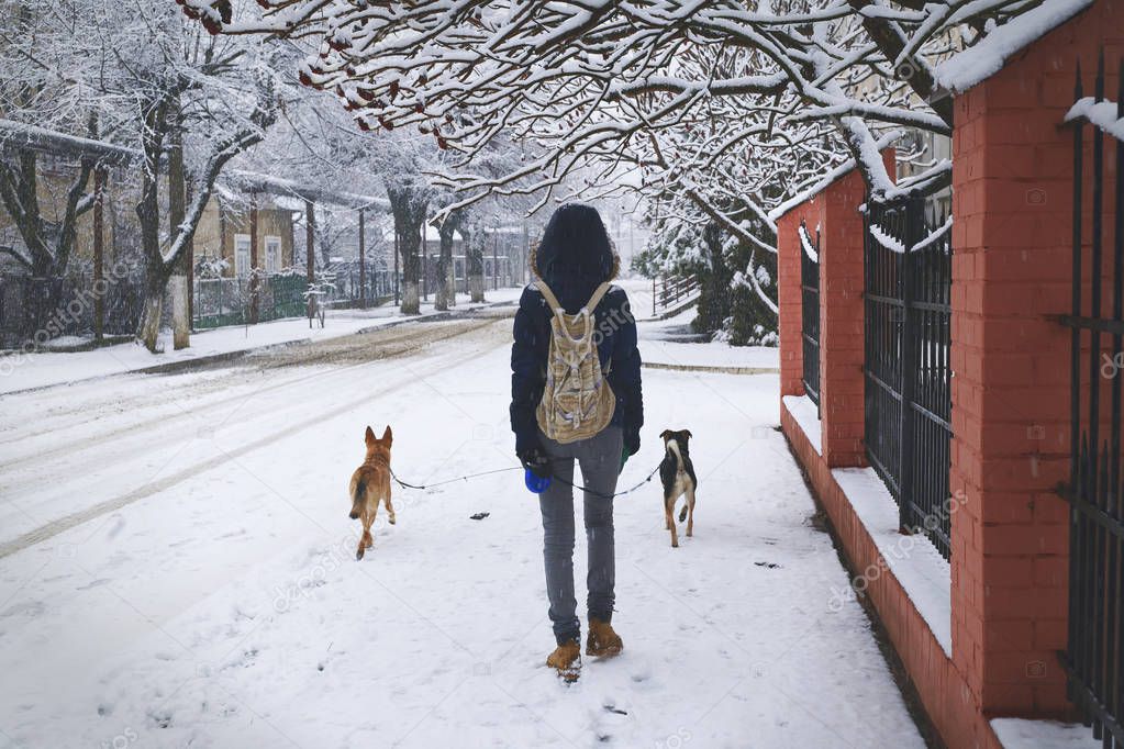 Girl is taking two dogs for a walk in winter 