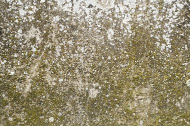 soyut yosun shape.texture yosun ile