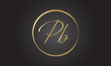 Yaratıcı modern iş tipografi vektör şablonlu PB Harf Logosu. Yaratıcı Harf PB Logo Vektörü.