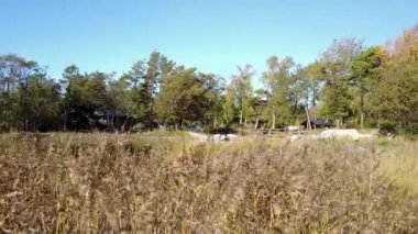 Mavi gökyüzü ile denizde Kuru Reed Çim . Aland adalarında deniz kenarından Drone video